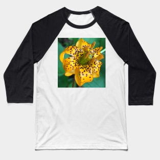 Teeny Orange Forest Lily Baseball T-Shirt